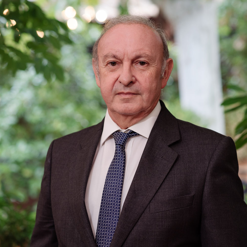 Juan Manuel Martín Sánchez-Molero