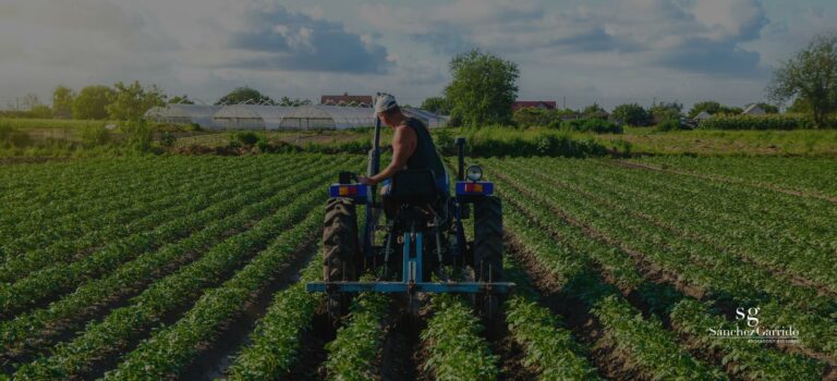 Titularidad compartida subvenciones 2026: claves de la convocatoria directa del Ministerio de Agricultura